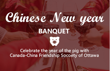 共庆祝 - 中国2019新年 猪年的到来